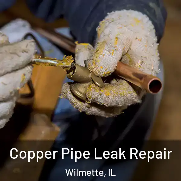  Copper Pipe Leak Repair Wilmette, IL
