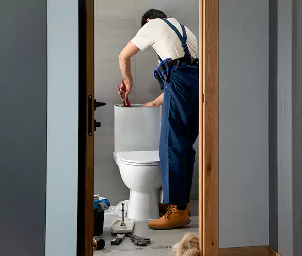 Professional Plumbers for Toilet Bowl Replacement in Wilmette, IL: Schedule Affordable Toilet Replacement Services With Us
