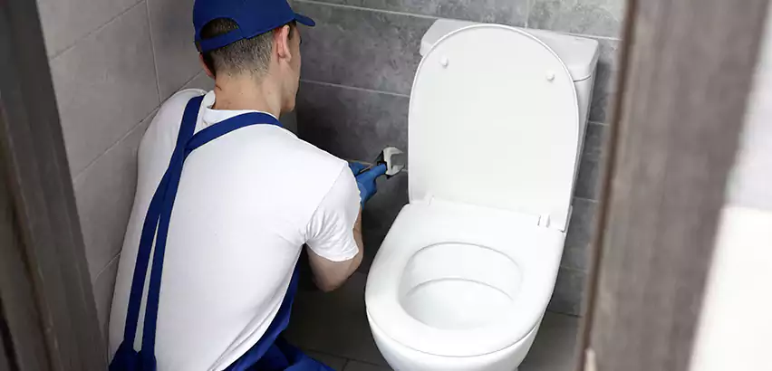 Toilet Lid Replacement in Wilmette