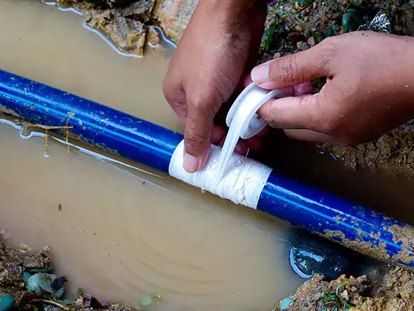  Why Choose Wilmette Plumbing Pros for Leak Detection in Wilmette, IL?]
