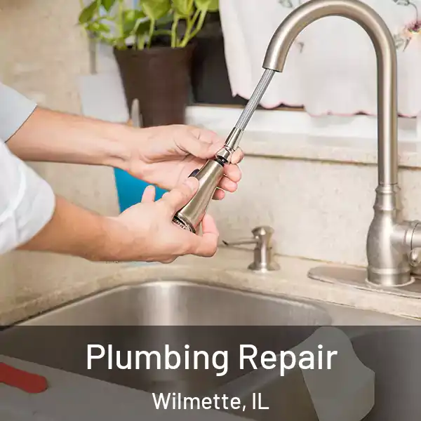  Plumbing Repair Wilmette, IL