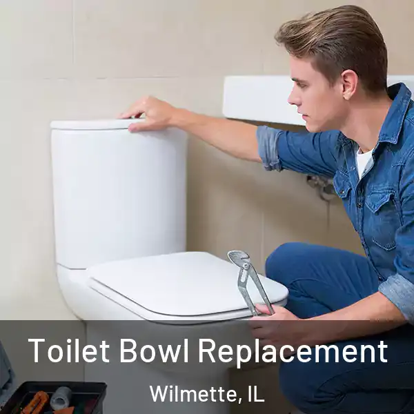  Toilet Bowl Replacement Wilmette, IL