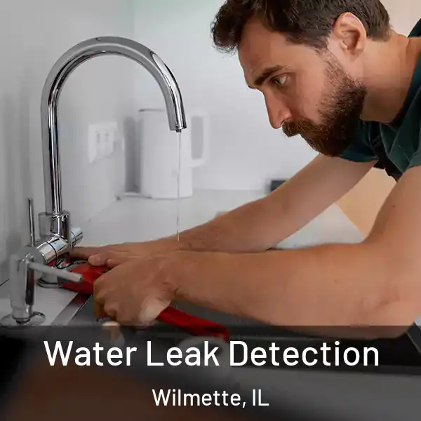  Water Leak Detection Wilmette, IL